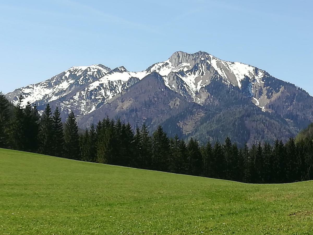 Appartment Haring Hollenstein an der Ybbs Exterior foto